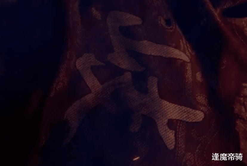 李嗣源|《不良人》第五季完结，片尾预告岐国覆灭，面具人不可能是降臣！