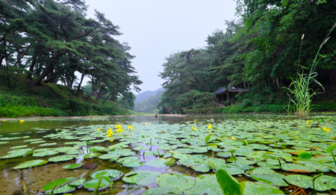 雨中的感性世界 韩国书生之乡庆北荣州之旅