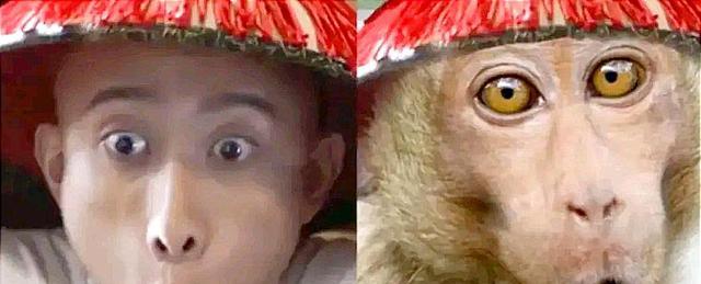 吴磊|继张一山之后,大热的吴磊也被吐槽像猴,其实他也只是有“猴相”