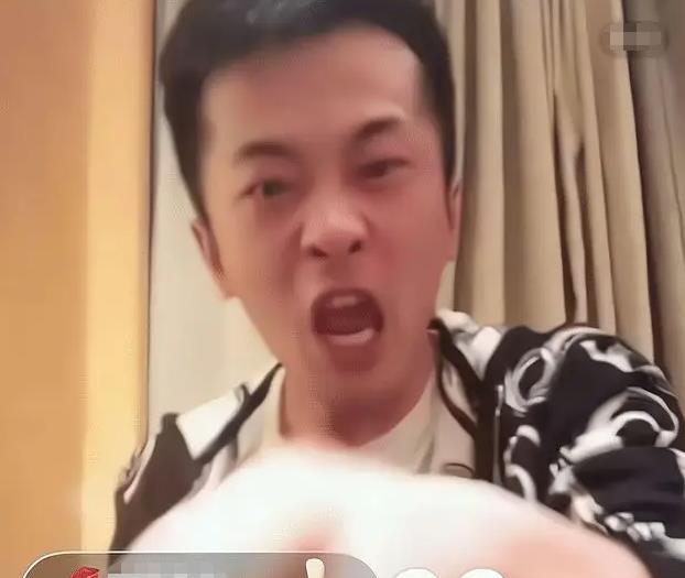 快手视频|拳打抖音快手，脚踢明星网红，辛巴这盘棋，胜一朝升天败万劫不复