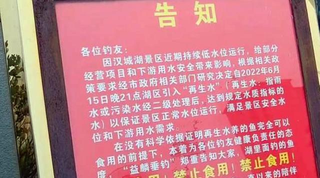 汉城湖|陕西的钓鱼人注意啦!此地可以垂钓却不能吃,钓友:多此一举
