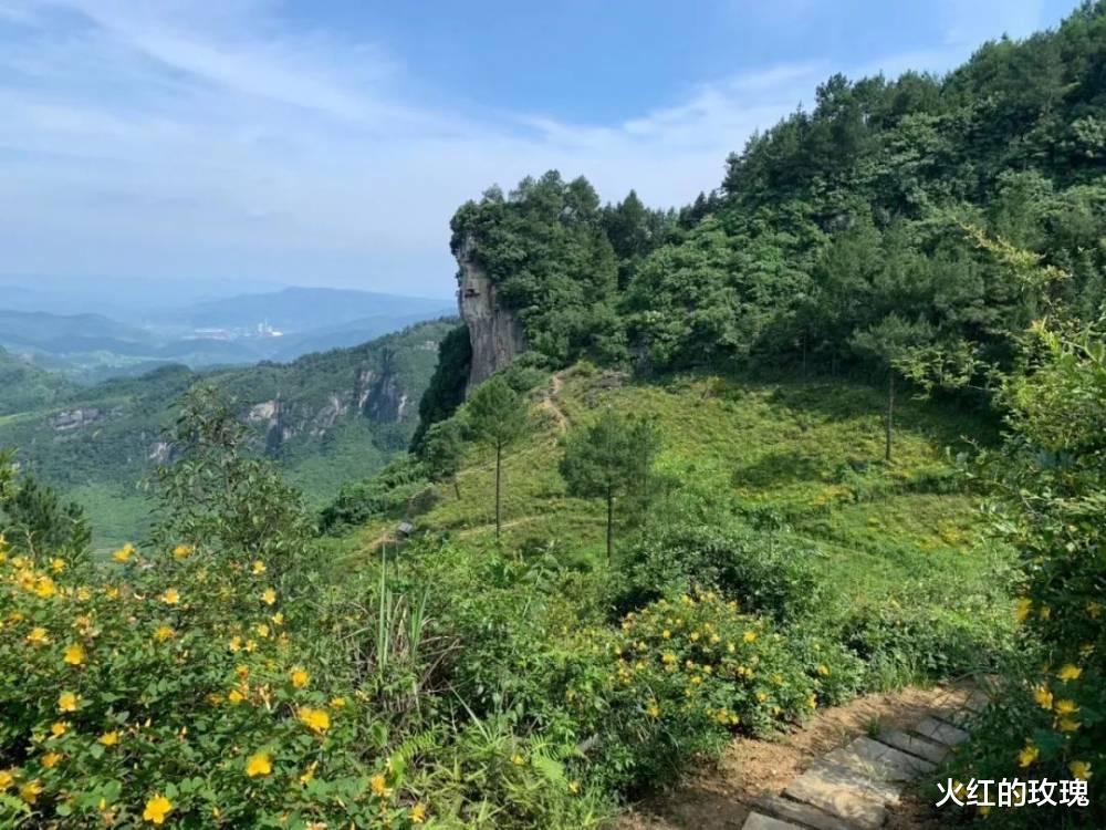 重庆|来场说走就走的旅行，在花海森林中拥抱原生态