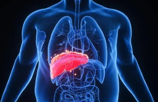 感冒|经常吃大蒜是“养肝”还是“伤肝”?医生来告诉你答案,别不听劝