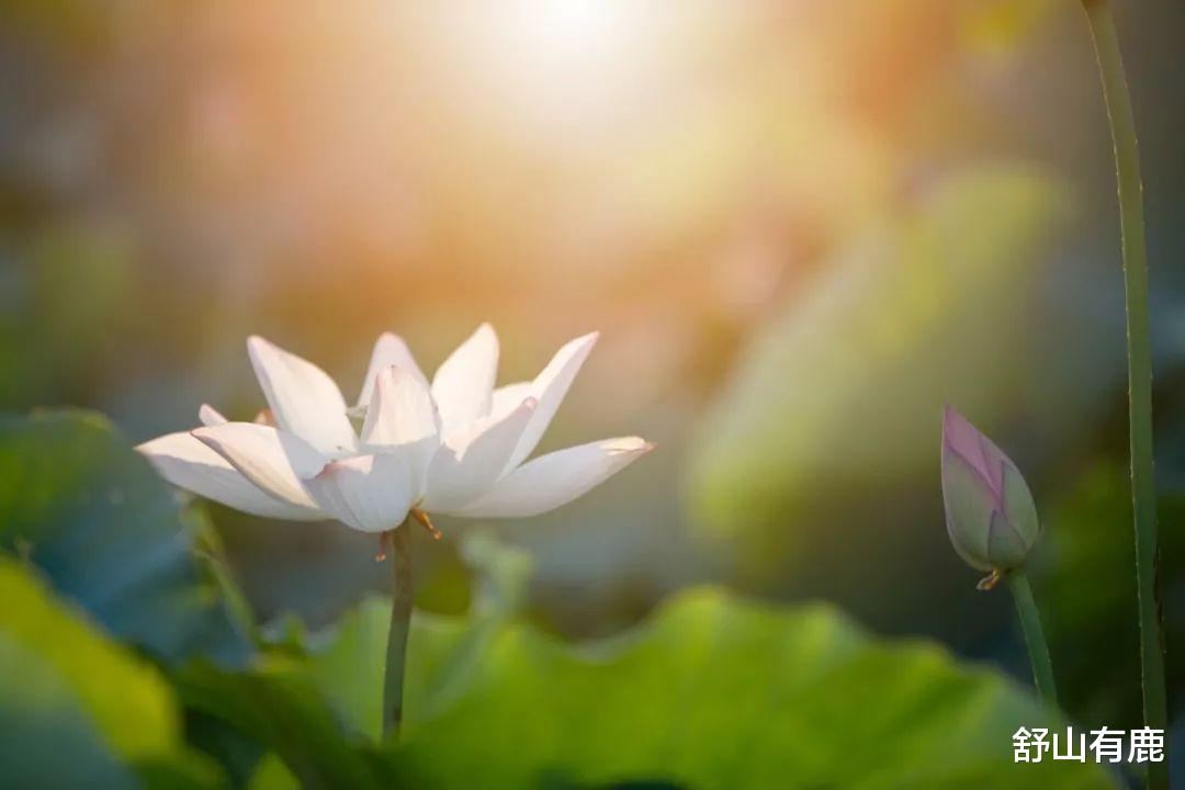 饵料|其实，一个人的后半生是否“命苦”，关键要看55岁那年的表现