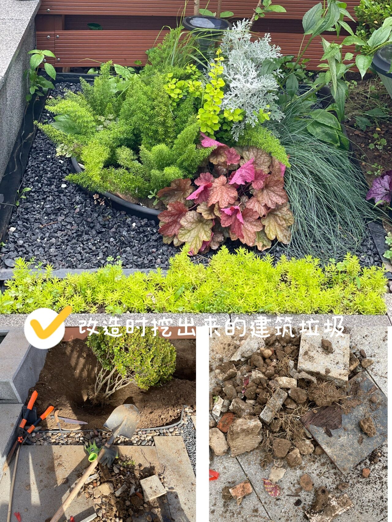 72㎡小院,花园改造经验分享,终于过上了梦寐以求的田园生活