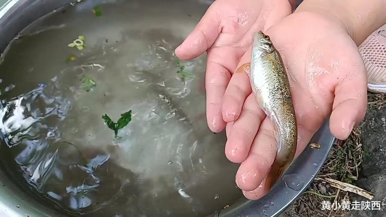 |这次真的勇!自驾走了一条地图上没有的路,顺利翻越秦岭至柞水