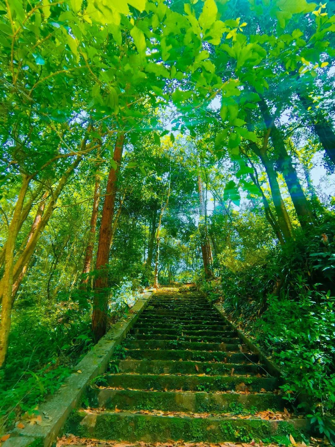泰国旅游|味江流，普照寺，都在青城