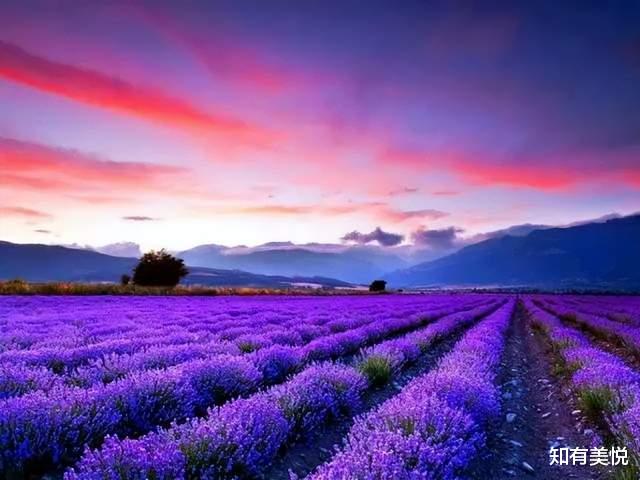 旅游业|太美了！6月最佳旅行目的地清单，这10个地方的夏天美如仙境！