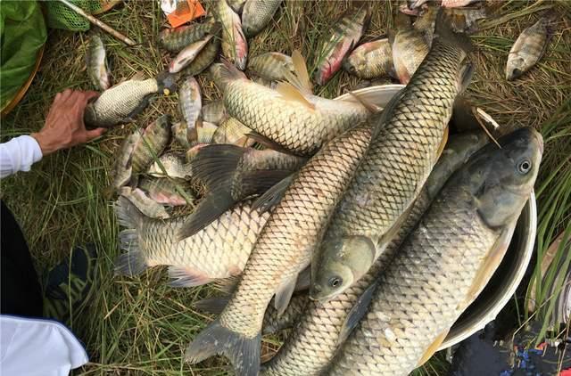 半半歌|当你学会调漂,离走空就不远了?关键点详解