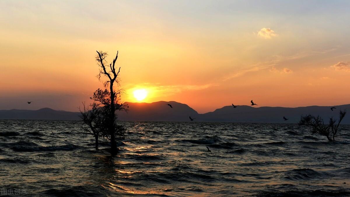滕州|郭进拴|雨中游滇池