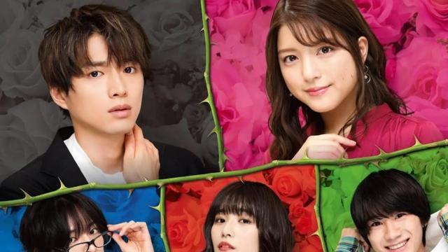 日剧|10部甜度超标的日剧，每一部都让人上头，总有一部让你欲罢不能