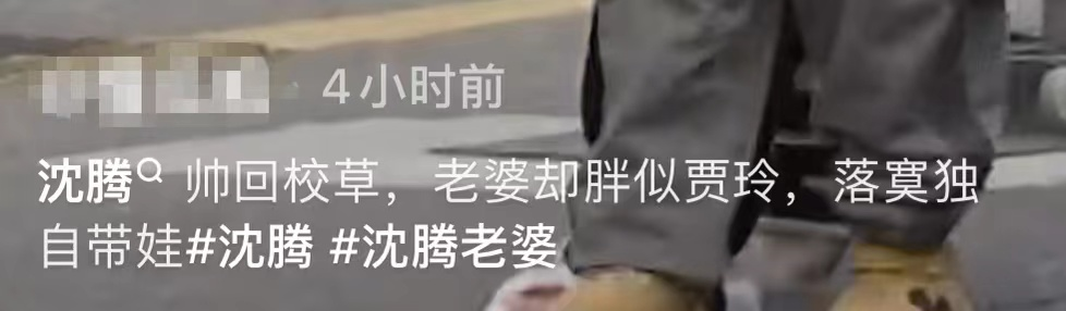 沈腾|沈腾妻子独自接娃,身形臃肿被嘲认不出,4岁小狮子留光头似妈妈