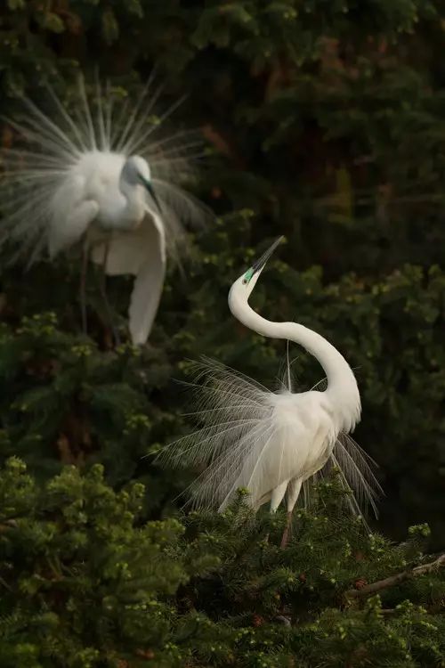 大山的视觉生活