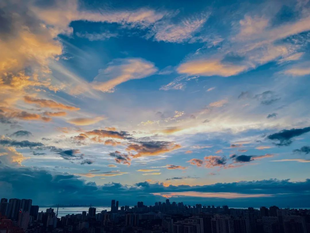 合肥|为什么在海南买房?这是我听过见过,最美的答案!