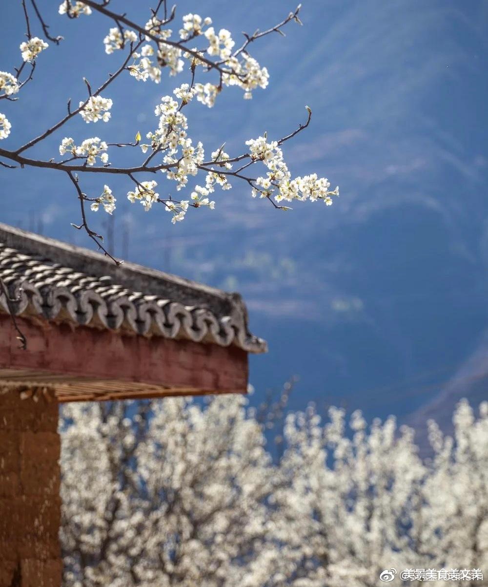 四川省|四川·甲居藏寨，田园牧歌般的乡村世界，宁静而美好！