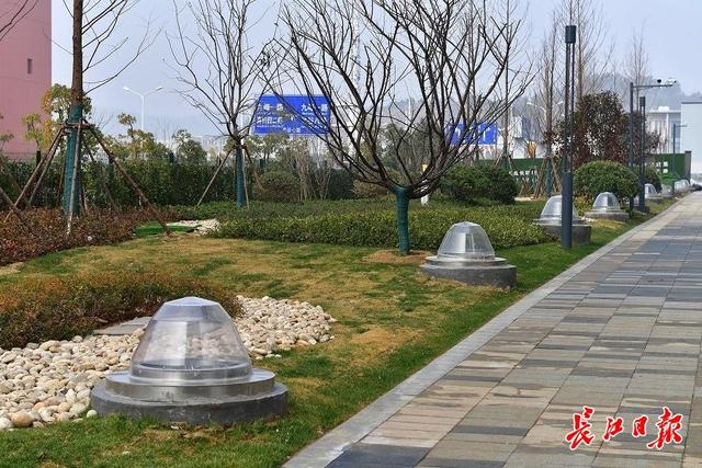 语音开启窗帘、手机控制空调……武汉光谷这个人才公寓成“智慧”住宅新标杆