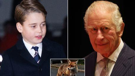 “一只狐狸在乔治王子的玩具上拉屎后，皇室雇我去杀狐狸”
