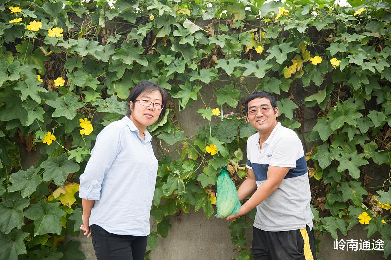 大学|为什么到一家公司，干两三年有一种想辞职的感觉？这是主要原因！