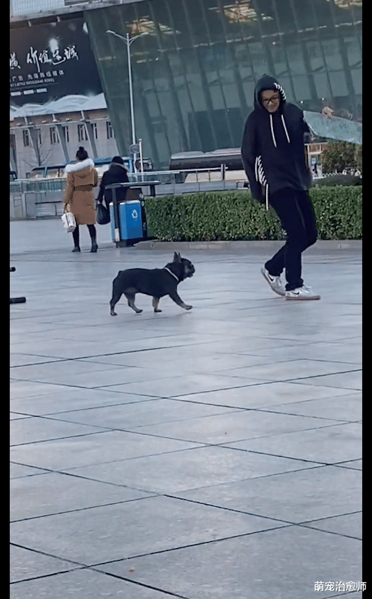 狗狗去抢年轻人的滑板玩，还知道助跑跳上去，这是在嘲讽人家吗？