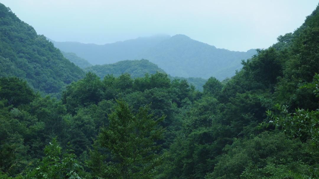 |西安周边高海拔避暑小镇，距城区1小时，200+住清凉山野、精品民宿