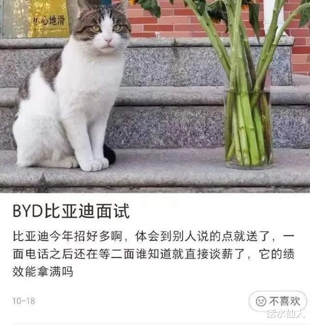 比亚迪|BYD 高薪职业,“点击就送”!