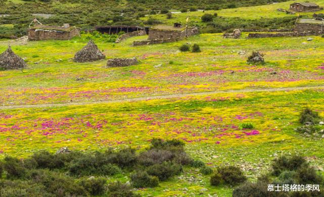 云南|34.9℃!爽爽的贵阳不再固若金汤,八月避暑游玩别错过云南这6座城