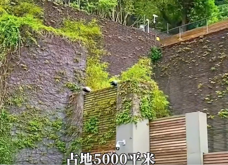 林青霞的5000平豪宅:卧室120平,装修6个亿,常有仙鹤落在院子