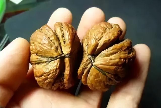 文玩|丑出新高度,价格却贵的离谱!