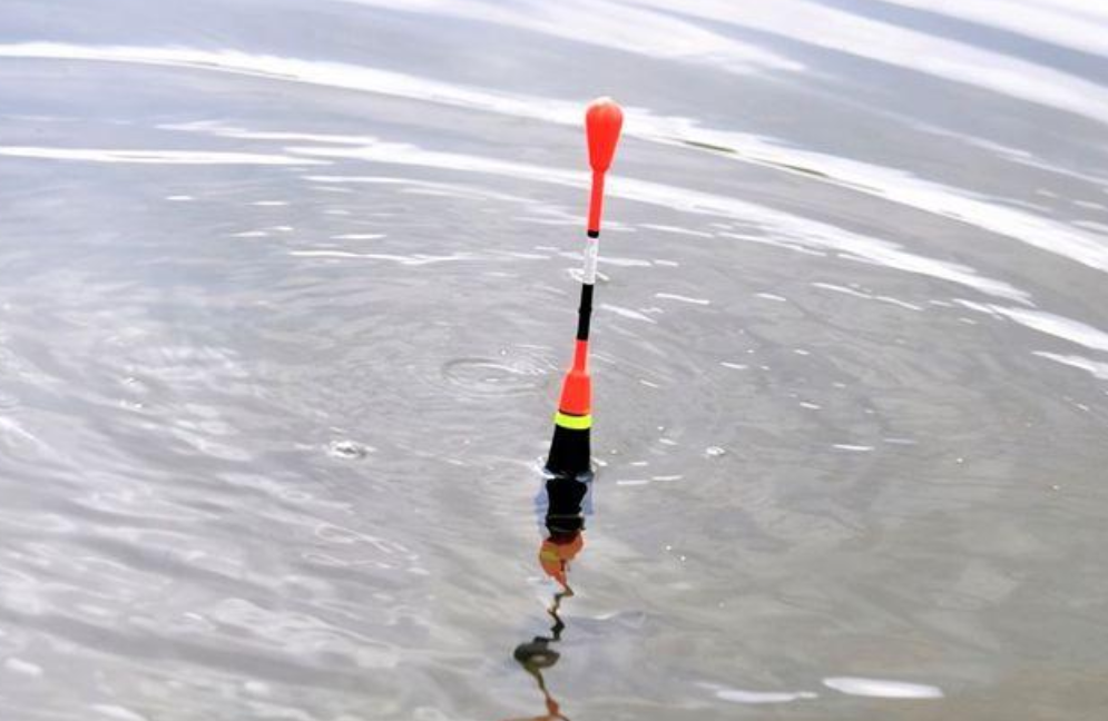 饵料|最受钓友喜欢的钓法，重铅沉底，适合多数钓点，拒绝小鱼！