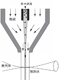 流式细胞术概念和应用基本介绍