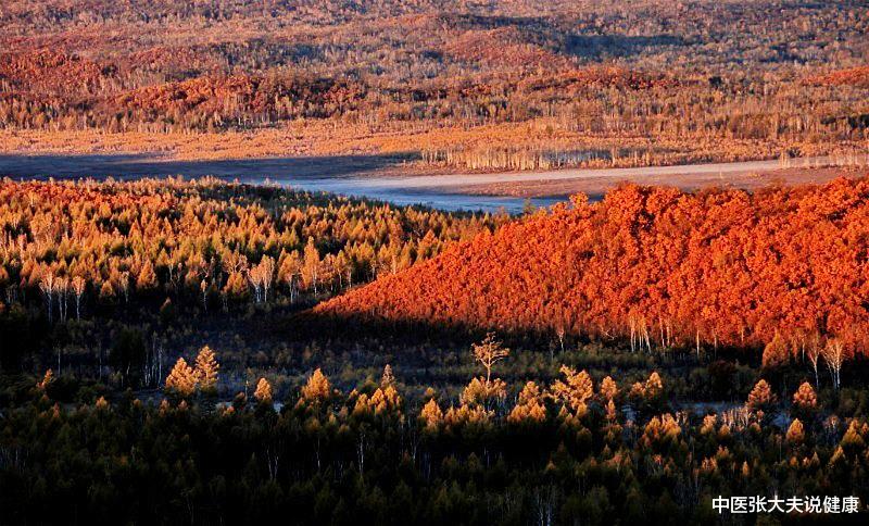 经络|「医考」考点:中医经络学说常考点(三)