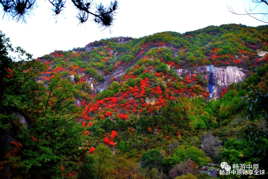长沙|这个秋天，与您邂逅亿年仙宫鸡冠洞！（原创）