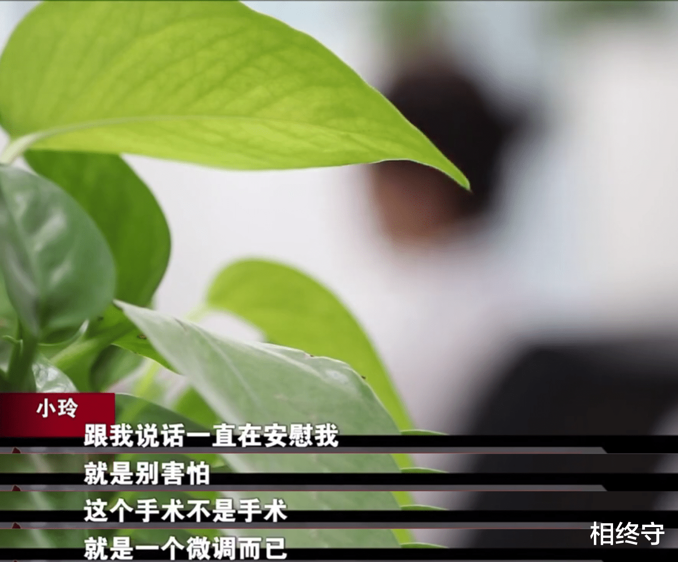 整容|“起初称招网红模特，后来又让我去商务会所工作”黔宸集团诈骗案