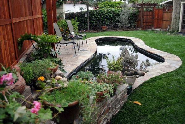 家里有庭院，一定要这样设计个鱼池！寓意富贵有余，这钱花值了！