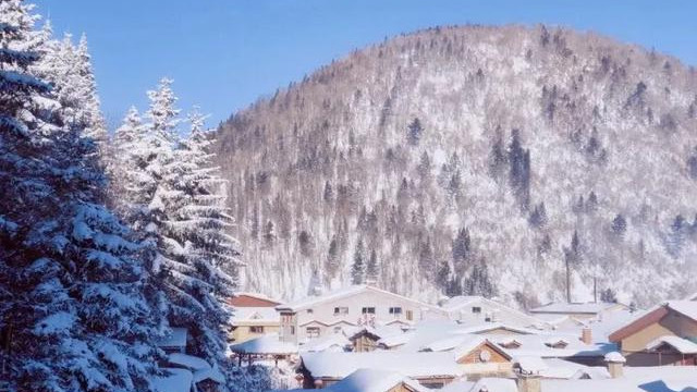 为什么东北人很少有碰瓷的？