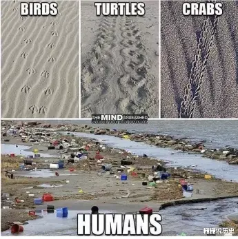 98年女孩过“极简生活”上瘾!5年不用卫生巾,2年不买卫生纸?