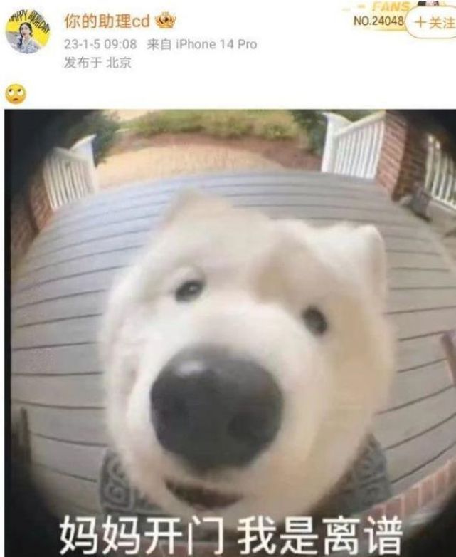 Angelababy|baby带6岁小海绵香港购物,模样可爱,母子牵手同行画面温馨