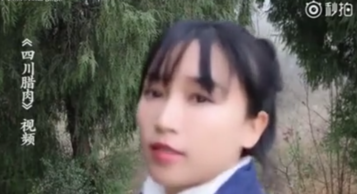 李子柒,回来了