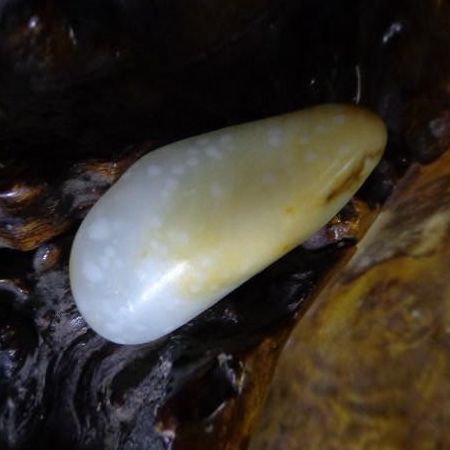 手绘|玉石之上，“瑕”出意境的——雪花玉