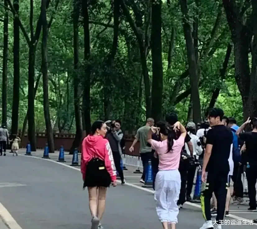 伊能静|伊能静和钟丽缇爬山,54岁伊能静粉白搭配显嫩,51岁钟丽缇似少女