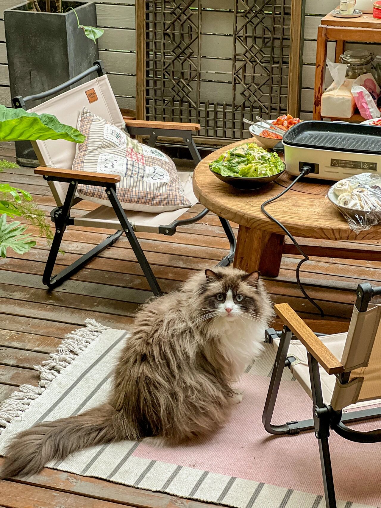 不顾父母反对,还是买了一楼带院的房子,种满植物花草就是花园