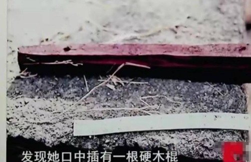 2004年,10岁女孩惨死粪坑,体内取出男性DNA,凶手身份出人意料