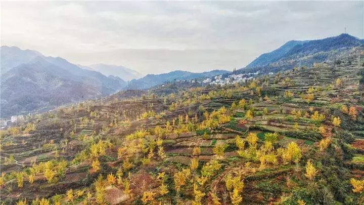 浙江省|浙江不只有江南烟雨，这10个地方藏着浙江的绝美秋景