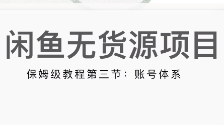 |（第三节）闲鱼无货源入门保姆级教程，轻资产创业导向