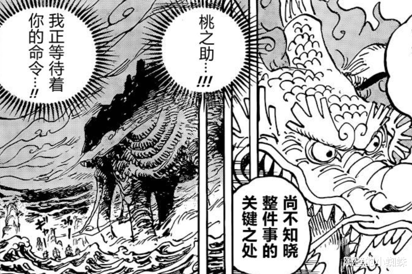 海贼王|海贼王1041话：实锤！尾田吹自己国家，桃之助成为“新主角”之一