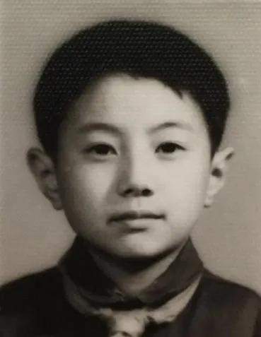 杨丞琳|“摇滚教父”郑钧,为何沦落到如今这般地步!