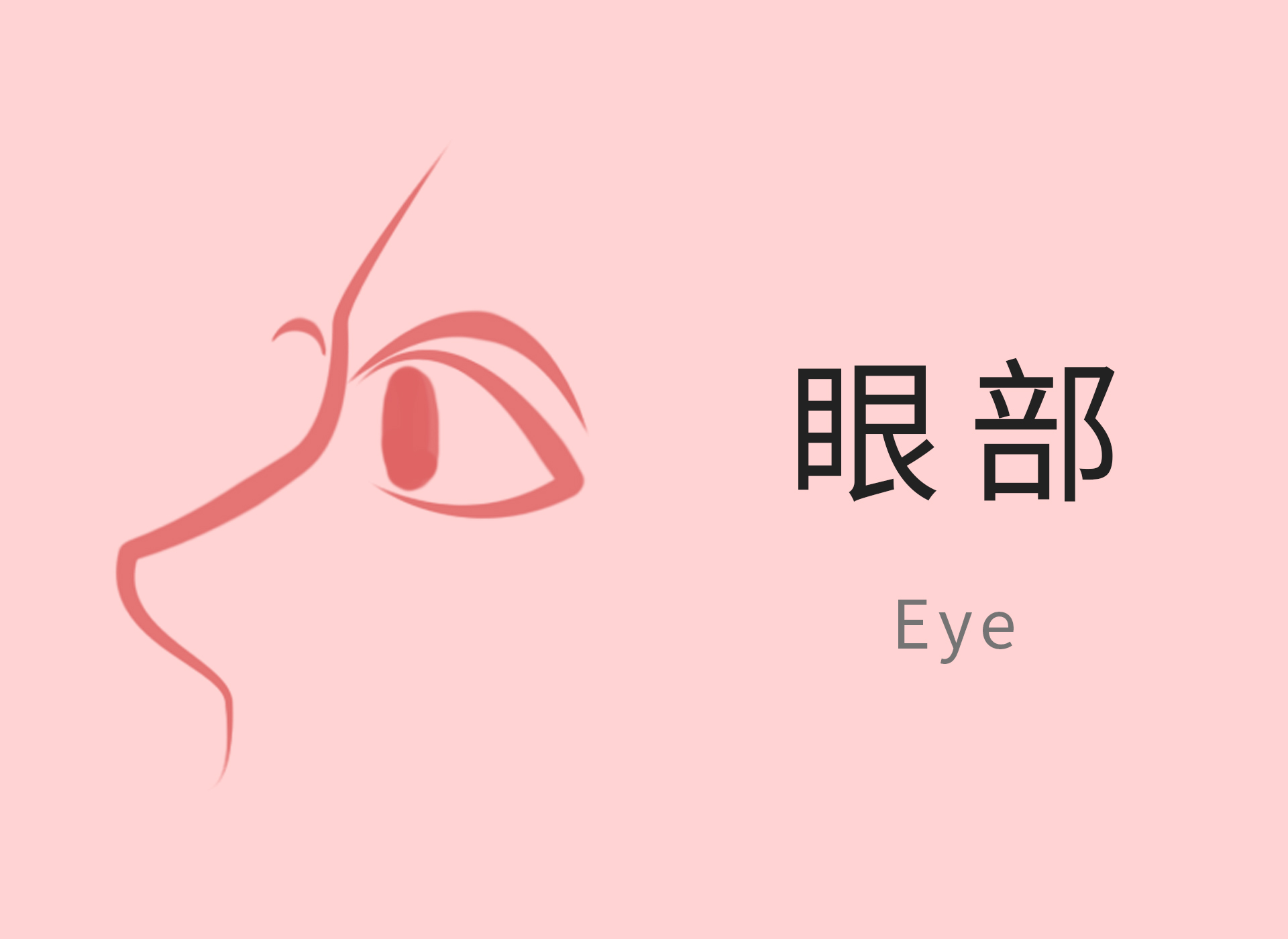 健身 【美容科普】眼睑整形术