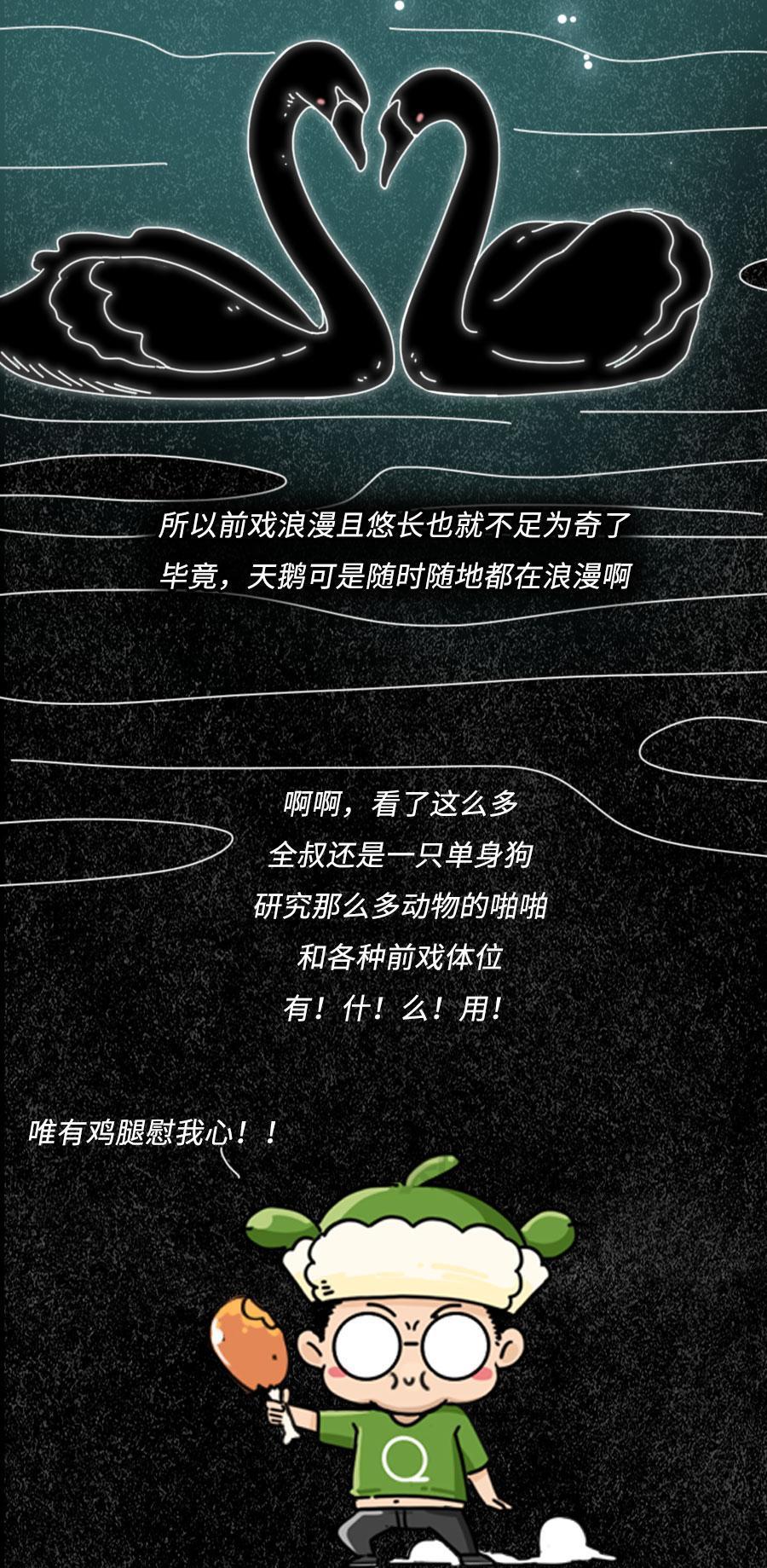 一组漫画揭开:动物“奇特”的求偶方式,真的太浪漫了