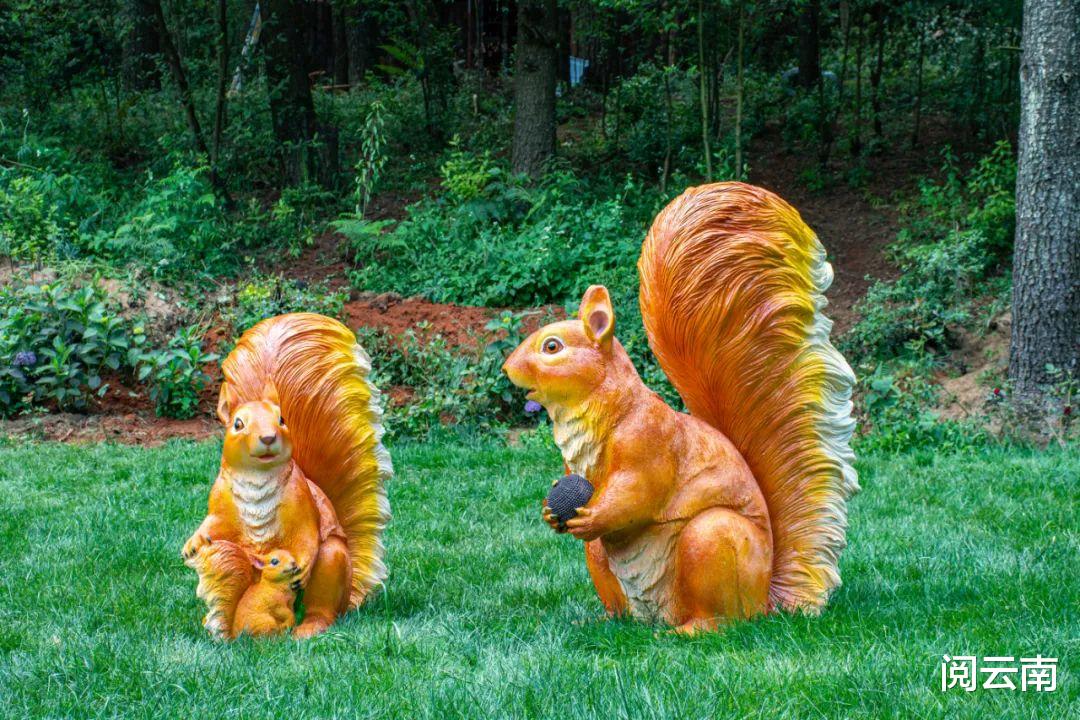 携程|昆明周边露营地盘点:森林草甸、高山牧场、热浪沙滩,不愁没去处