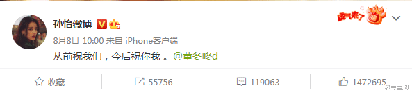 孙怡|孙怡晒合照为女儿庆生,女儿背影超可爱,前夫董子健未现身